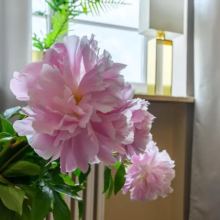 Movo Old Town Lägenhet Warszawa