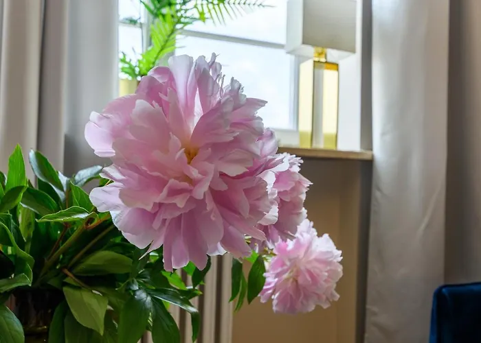 Movo Old Town Appartement Varsovie